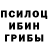 Галлюциногенные грибы мухоморы ekaterina snyder