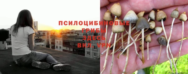марки lsd Алексеевка