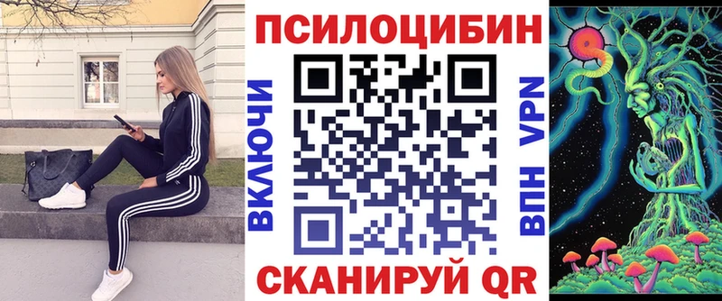 купить наркотик  Шебекино  Галлюциногенные грибы мицелий 