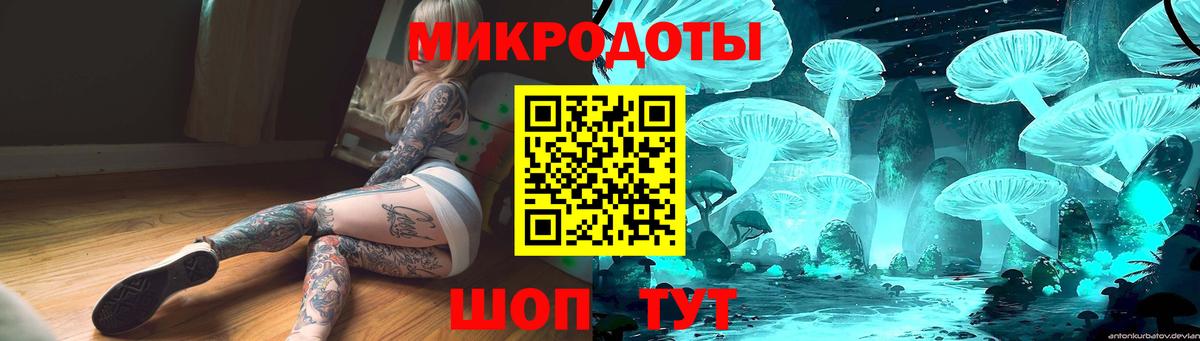 Псилоцибиновые грибы GOLDEN TEACHER  Галлюциногенные грибы Psilocybine cubensis  Вход с VPN  Шебекино 
